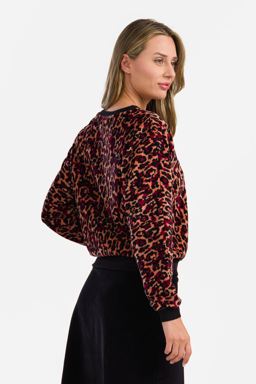 Eileen Top | Leo