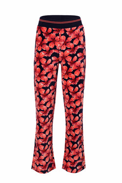 Carin Broek | Sintra